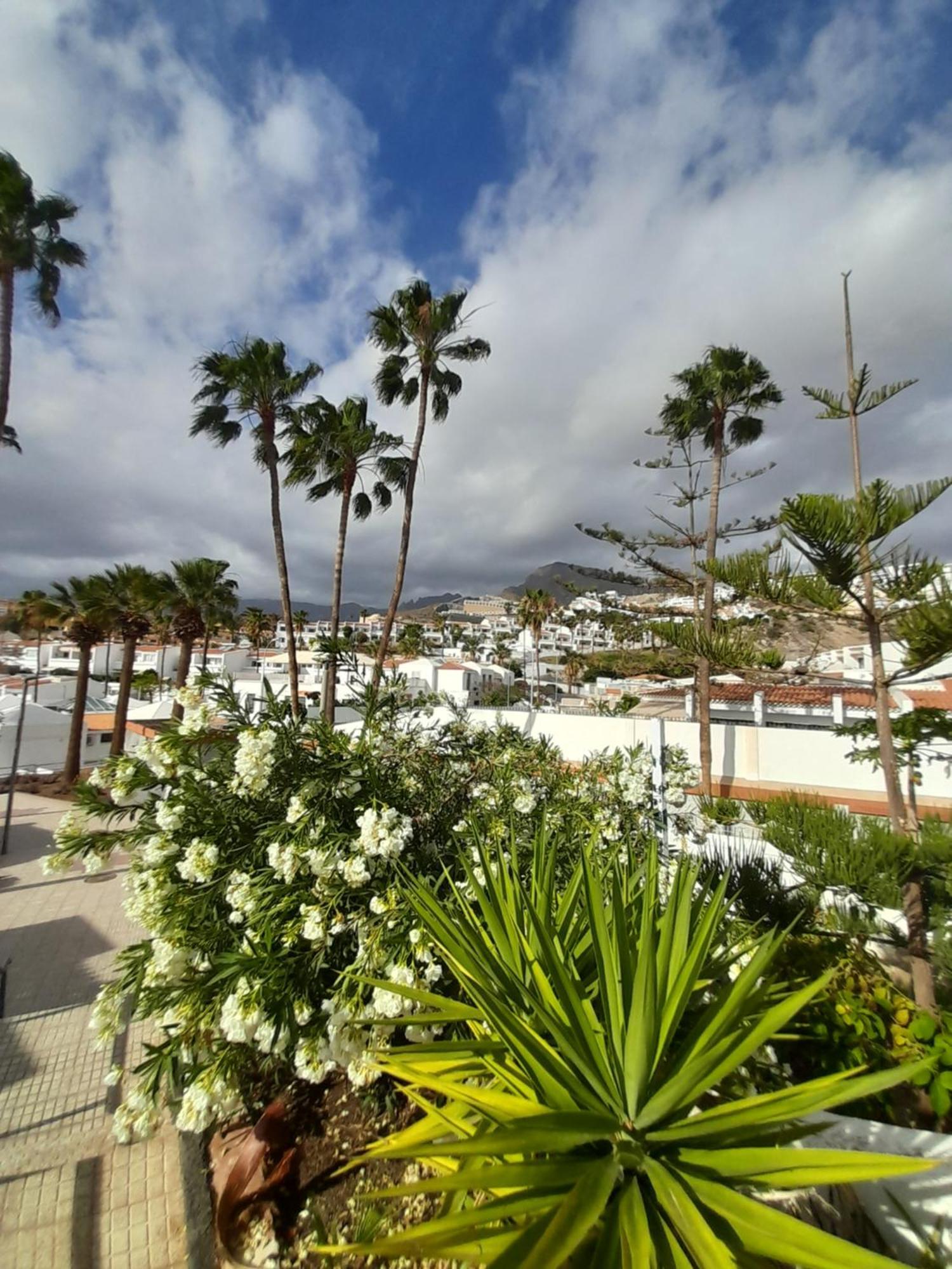 Apartments Island Village Heights Адехе Екстер'єр фото